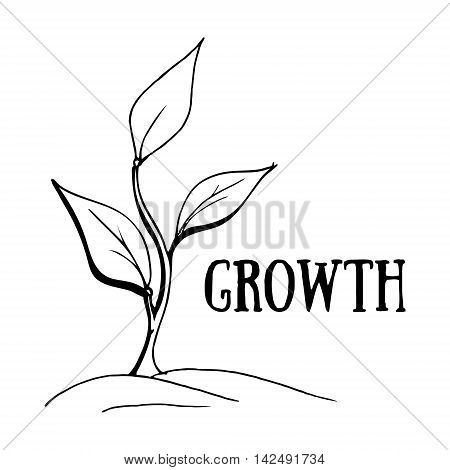 450x470 Green Tea Leaf Vector Amp Photo Bigstock