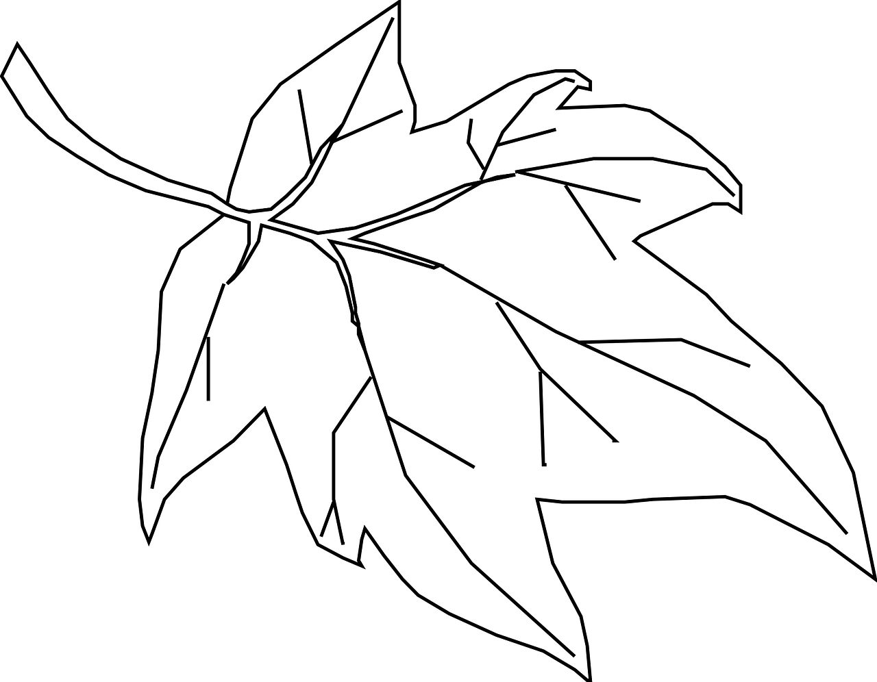 1280x996 Green Leaf Drawing