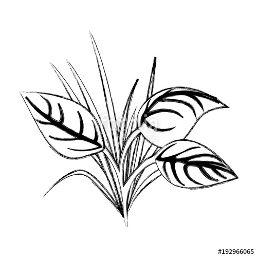 500x500 Green Leaves Grass Natural Plant Image Vector Illustration Sketch