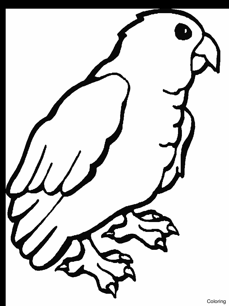 768x1024 Blue Crowned Green Parrot Coloring Page Pages 8f Macaw Minecraft