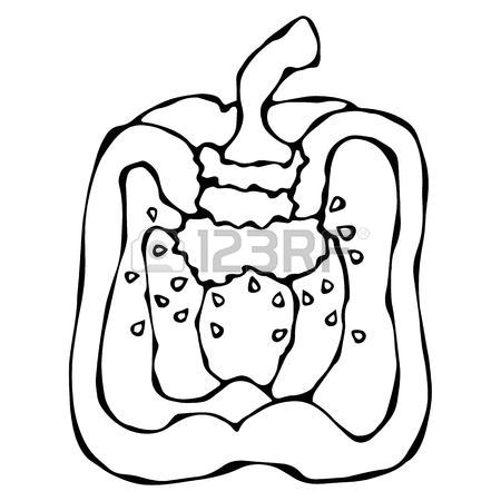 450x450 Half Of Green Paprika, Bell Pepper Or Sweet Bulgarian Pepper