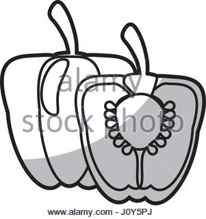 301x320 Green Tomato Cut Half Vector Drawing Watercolor Stock Vector Art