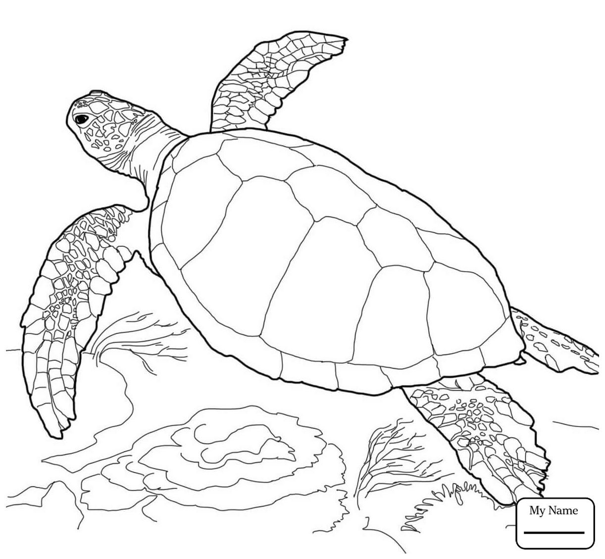 1222x1129 Turtles Leatherback Sea Turtle Reptiles Coloring Pages