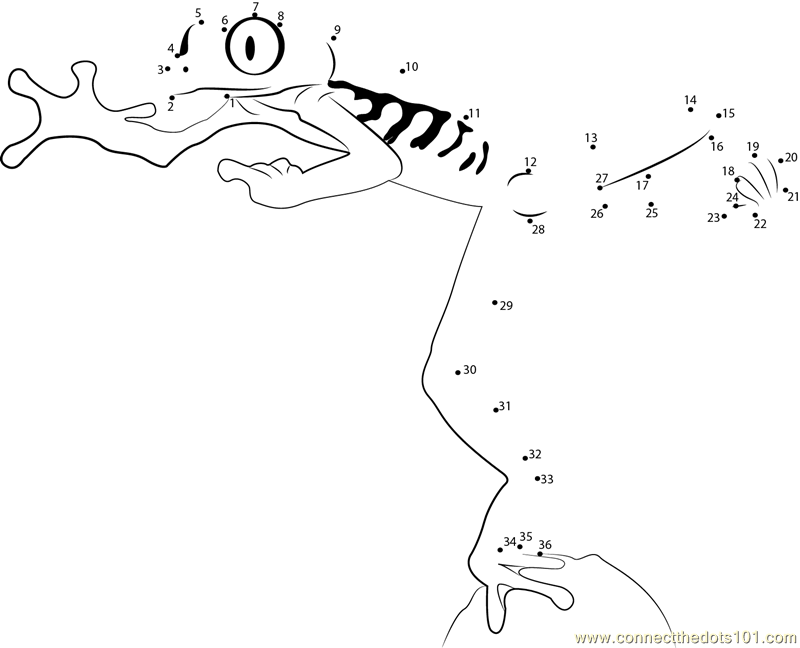 800x648 Frog Dot To Dot Many Interesting Cliparts