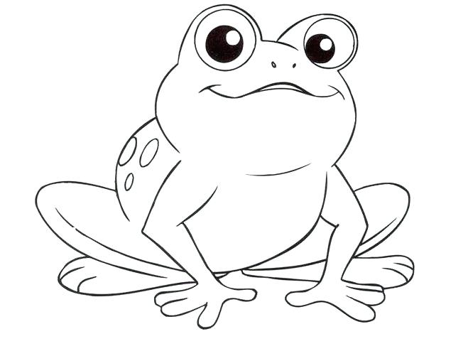 659x501 Frogs Coloring Pages Plus Frog And Fly Frog And Fly Coloring Page