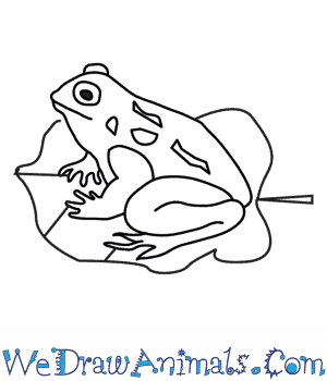 300x350 How To Draw A Toad