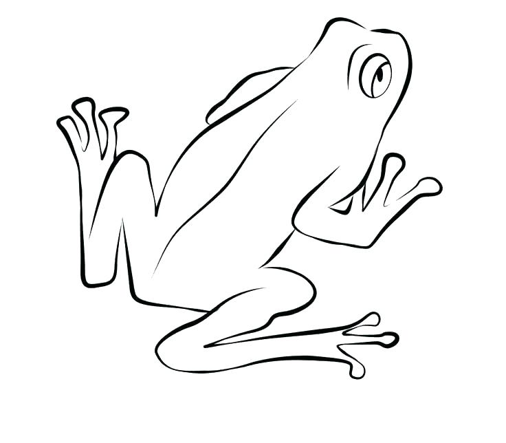 736x644 Tree Frog Coloring Page Free Printable Frog Coloring Pages