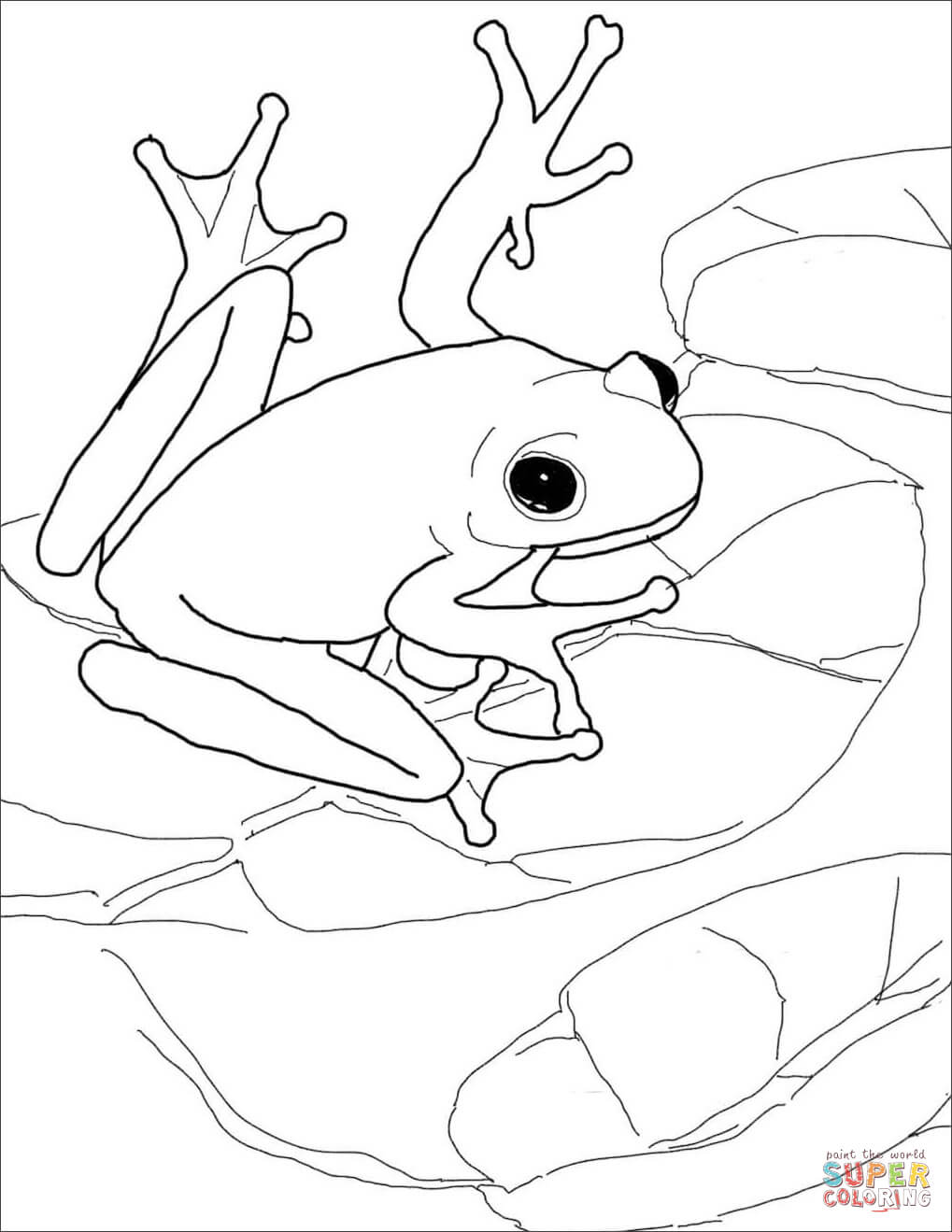 1019x1319 American Green Tree Frog Coloring Page Free Printable Coloring Pages