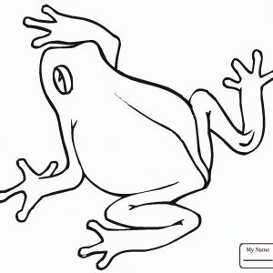 300x300 Coloring Pages Tree Frog New Tree Frog Coloring Page Samantha Bell