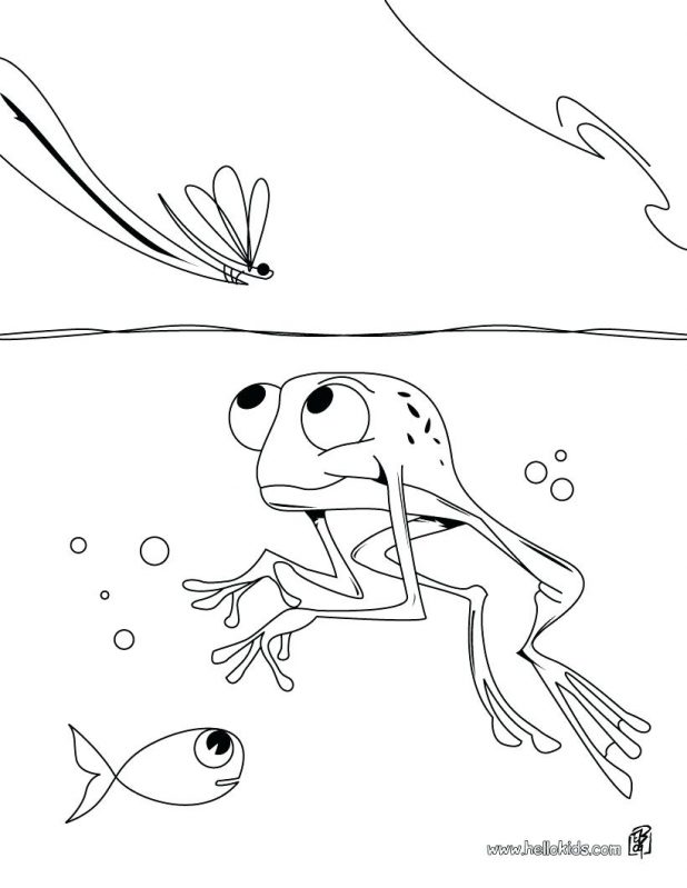 618x799 Coloring Pages Interesting Tree Frog Coloring Page. Red Eyed Tree