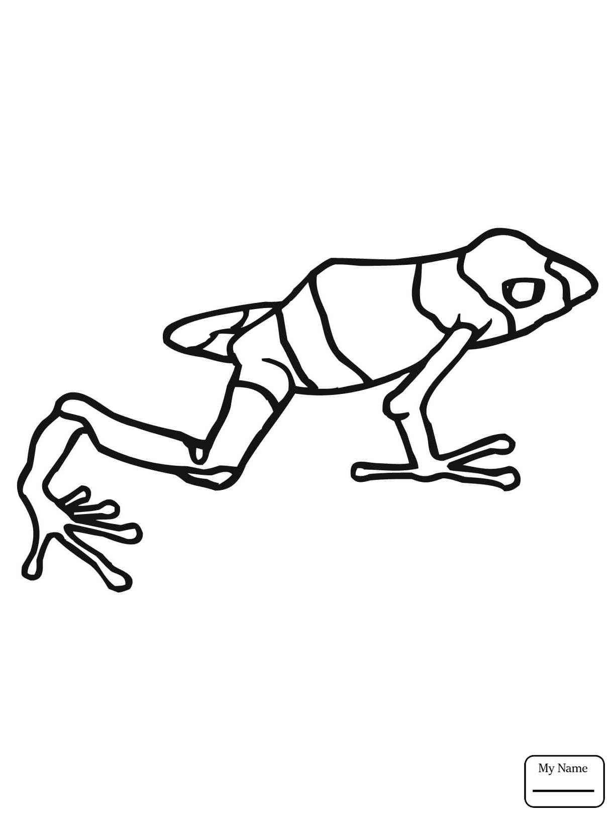 1224x1632 Frog 18 Amphibian Coloring Pages For Kids