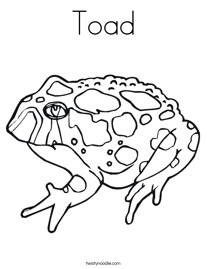 685x886 Frog And Toad Coloring Pages