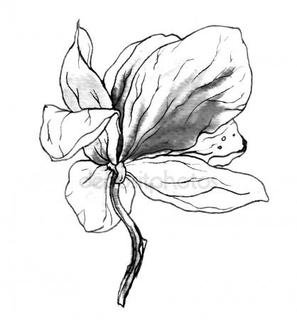 418x450 Watercolor Greenery Wreath With Magnolia And Butterfly. Hand