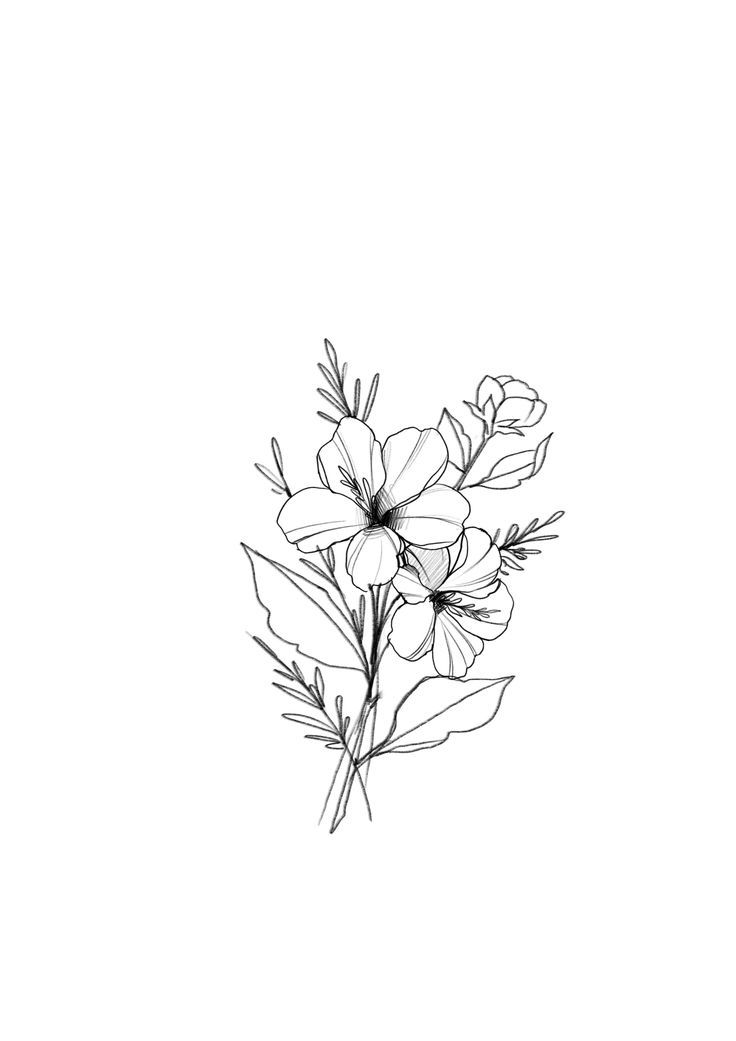 736x1041 Beautiful Hand Drawn Florals Florals + Greenery