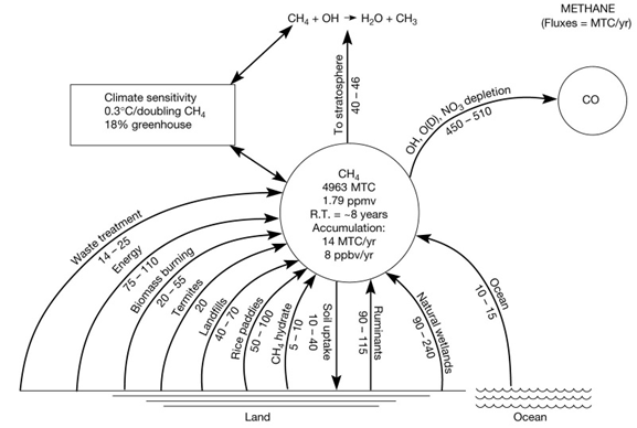 577x388 Untitled Document