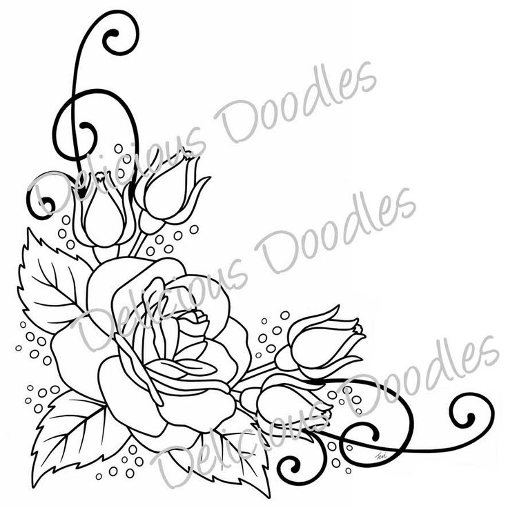736x736 Rose Border Drawing