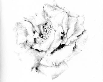 340x270 Floral Card Etsy