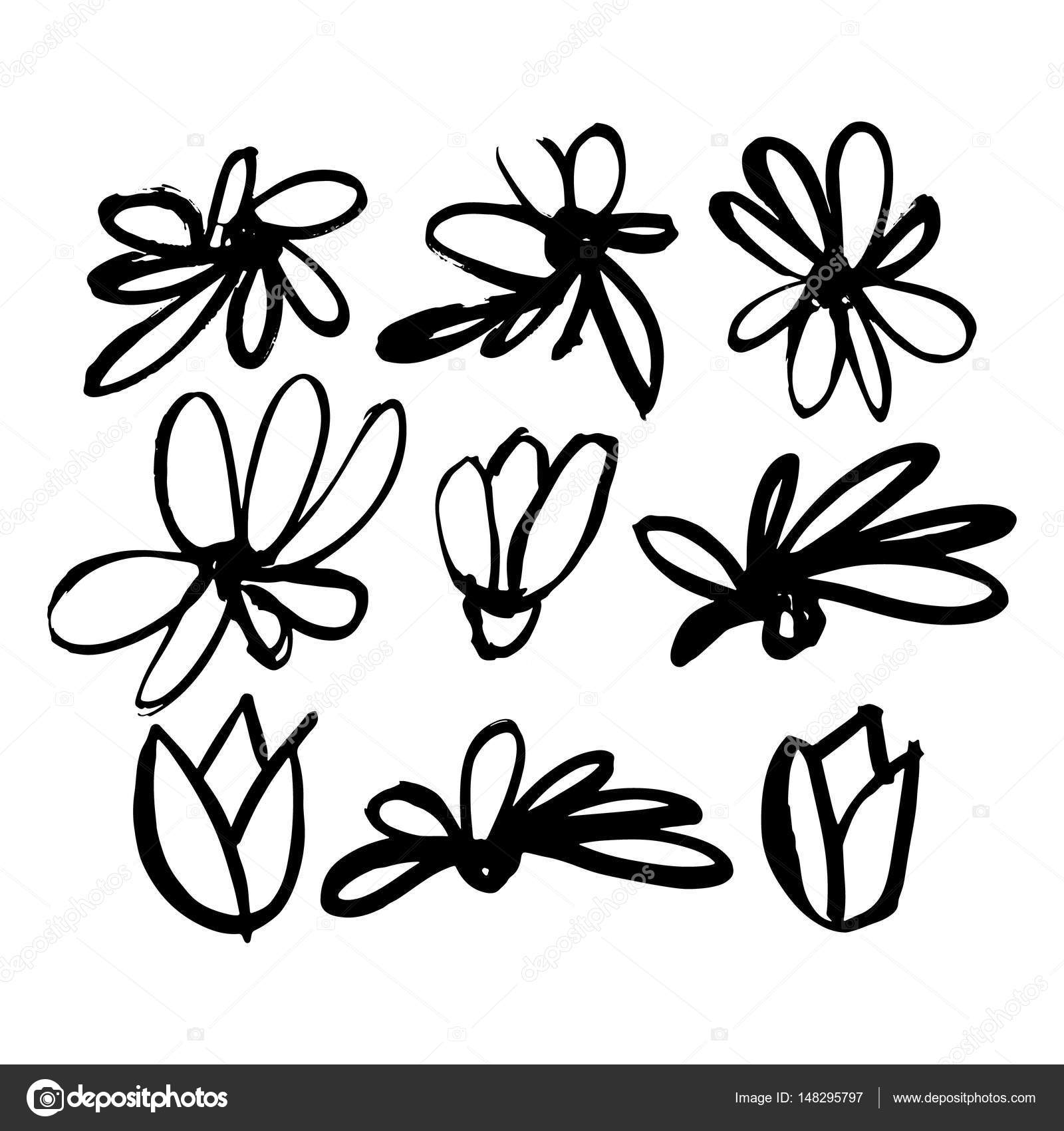 1600x1700 Hand Drawn Sketch Set From Flowers And Leaves. Illustration