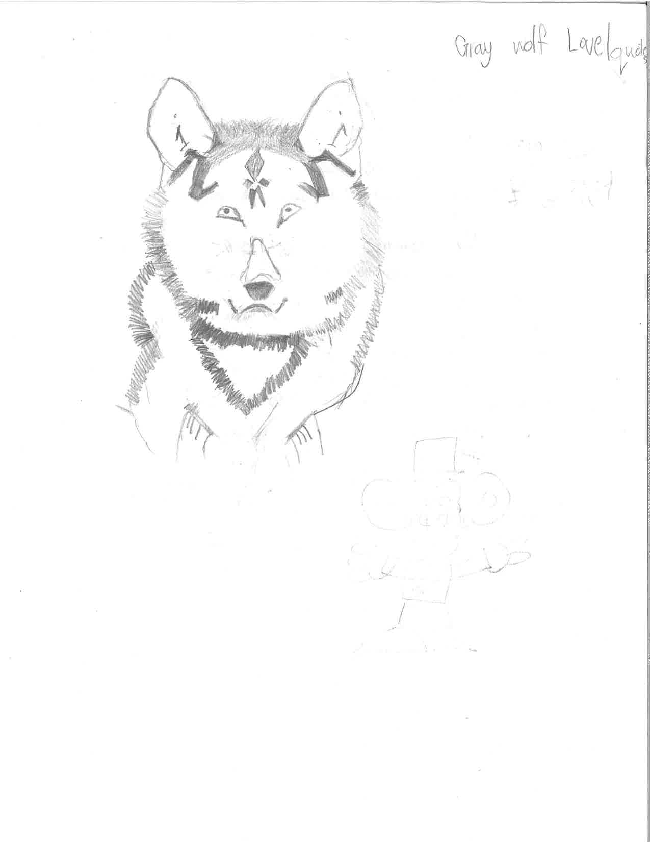 1275x1650 Grey Wolf Phylo The Trading Card Game