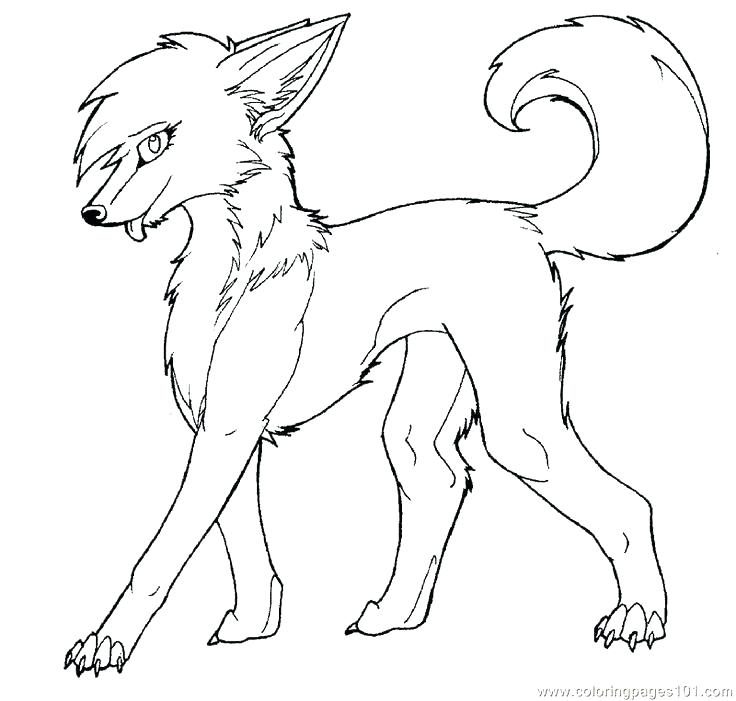 736x701 Where Wolf Coloring Page Lovely Grey Wolf Coloring Pages Kids