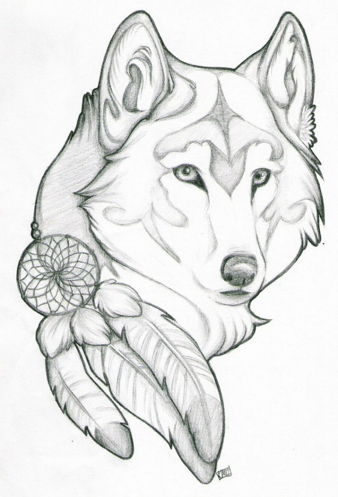 697x1024 Wolf Drawing In Pencil Pencil Drawing Of A Grey Wolf Artist Gary