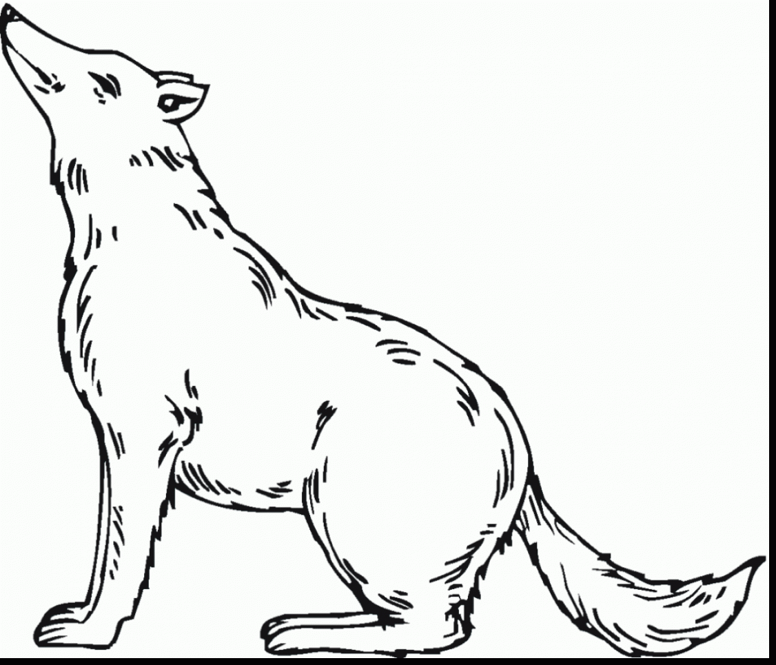 1126x965 Astonishing Mexican Grey Wolf Coloring Page With Wolf Coloring