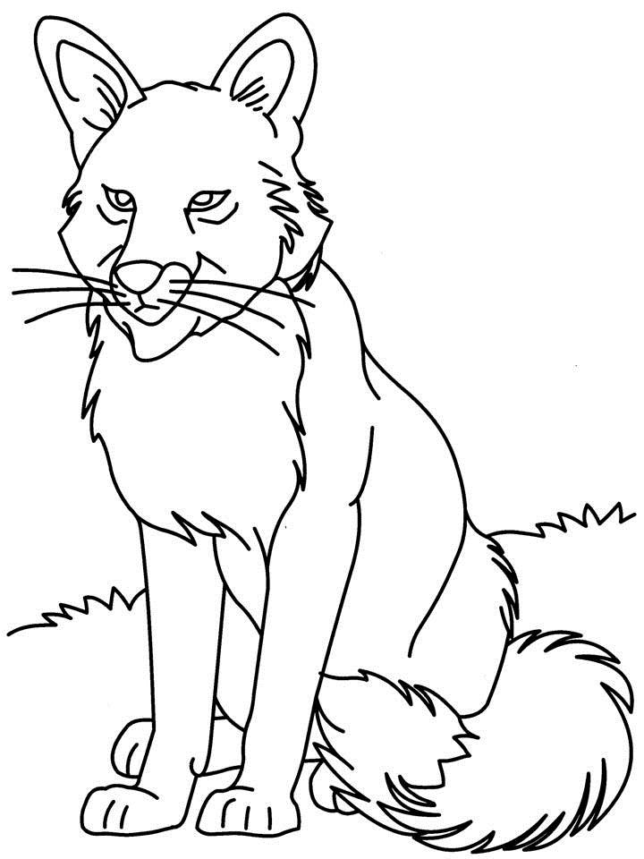 720x960 Free Printable Wolf Coloring Pages For Kids