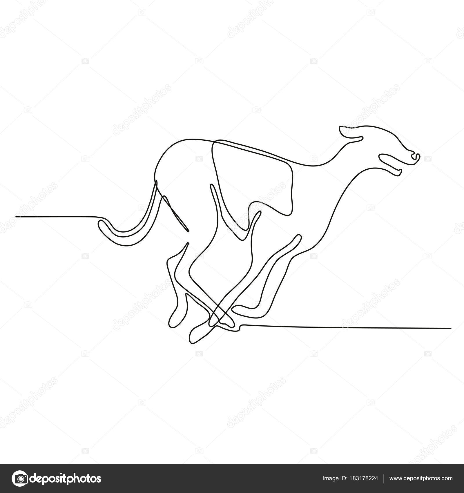 1600x1700 Greyhound Racing Continuous Line Stock Vector Patrimonio