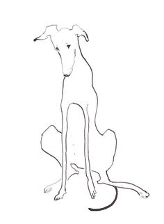 236x322 Picasso Dogs