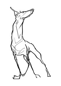 211x300 Art Line Drawings Fine Art America