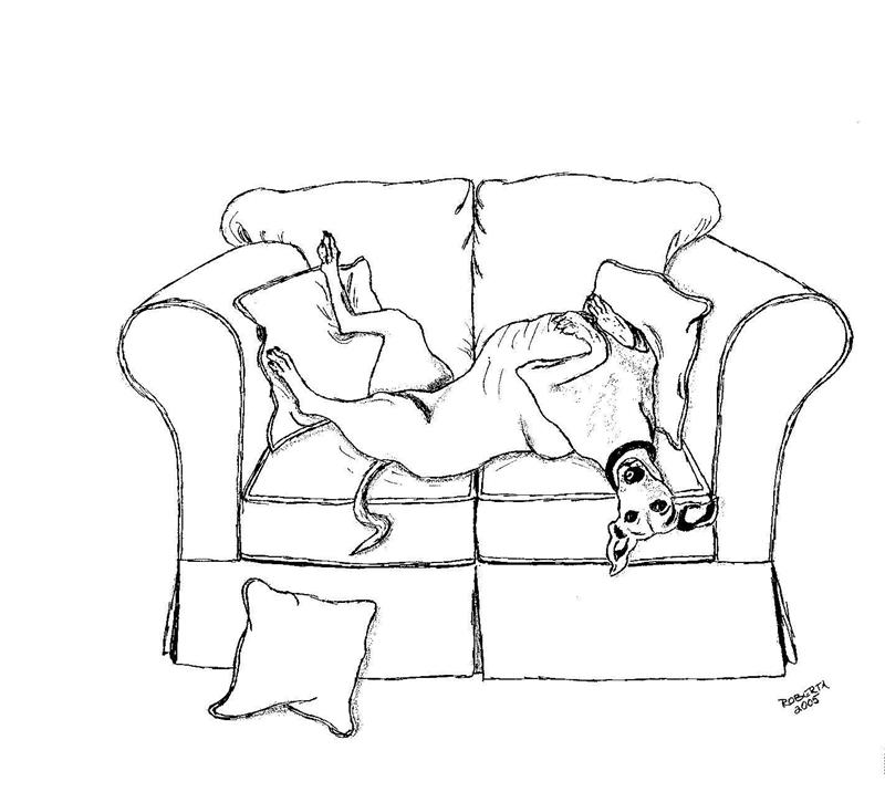 800x716 Emma's Place Portraits Note Cards