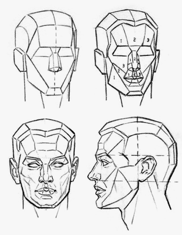 736x947 19 Best Images About Facial Figure Grid On Arnold