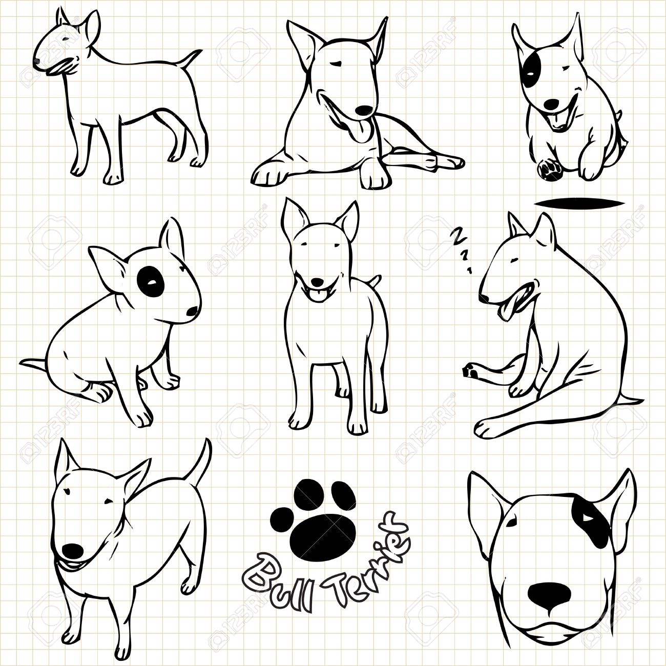 1300x1300 Line Drawing Of Bull Terrier Dog Set On Grid Paper Use