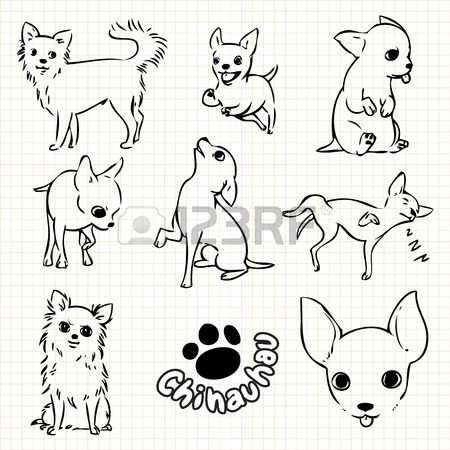 450x450 Line Drawing Of Chihauhau Dog Set On Grid Paper Use For Elements