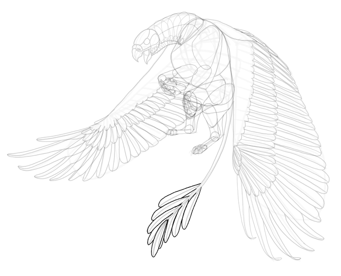 700x567 How To Draw A Griffin