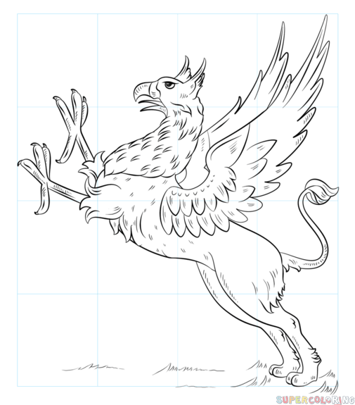 505x575 How To Draw A Griffin Step By Step Drawing Tutorials