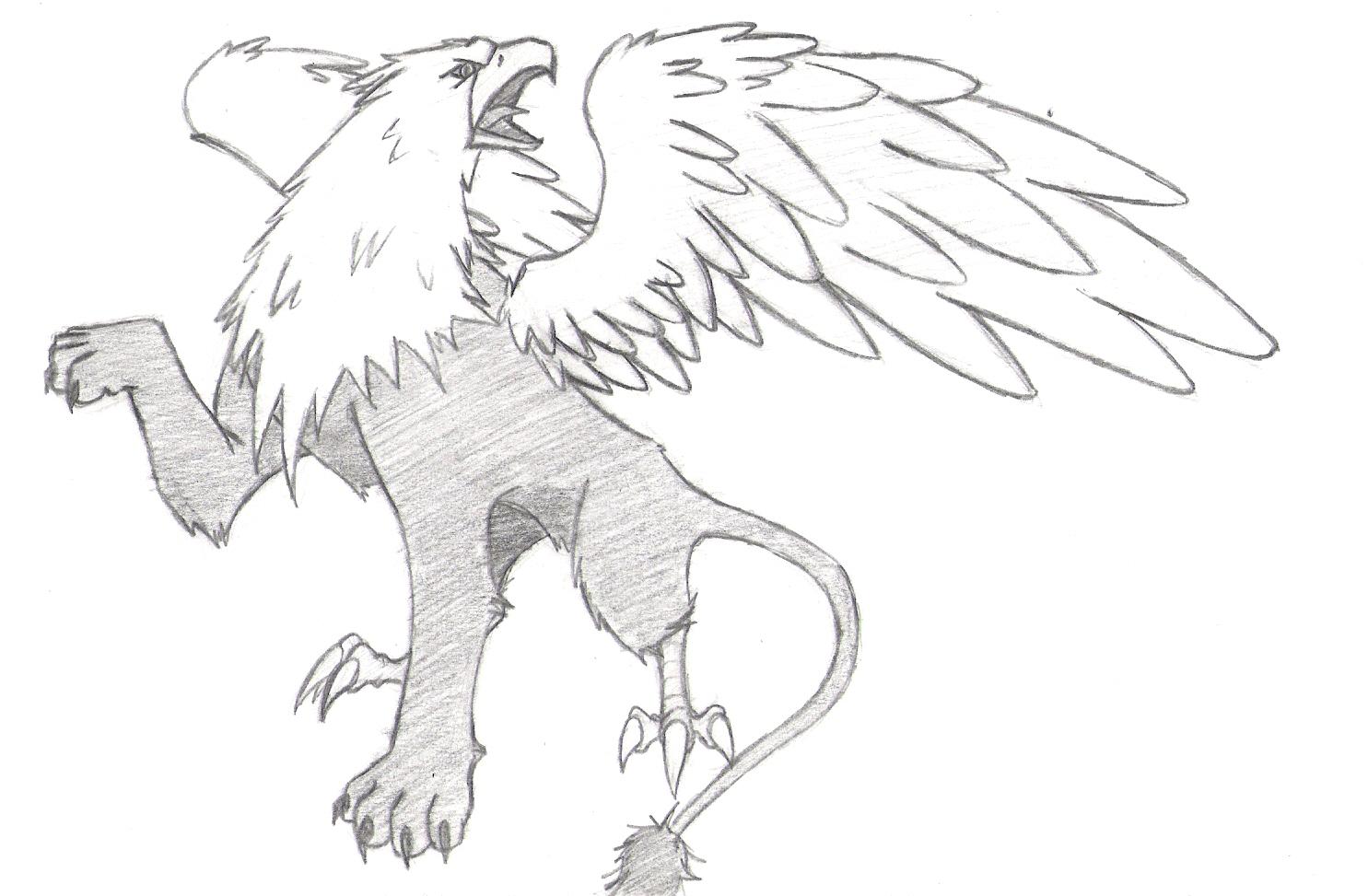 1485x973 Griffin Drawing