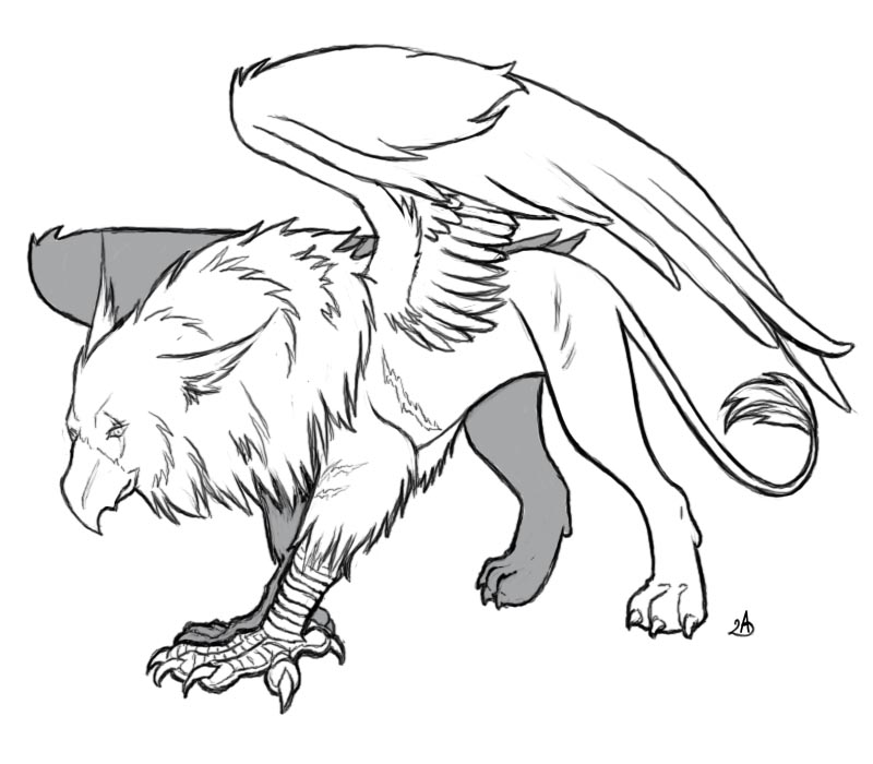 The best free Griffon drawing images. Download from 60 free drawings of ...