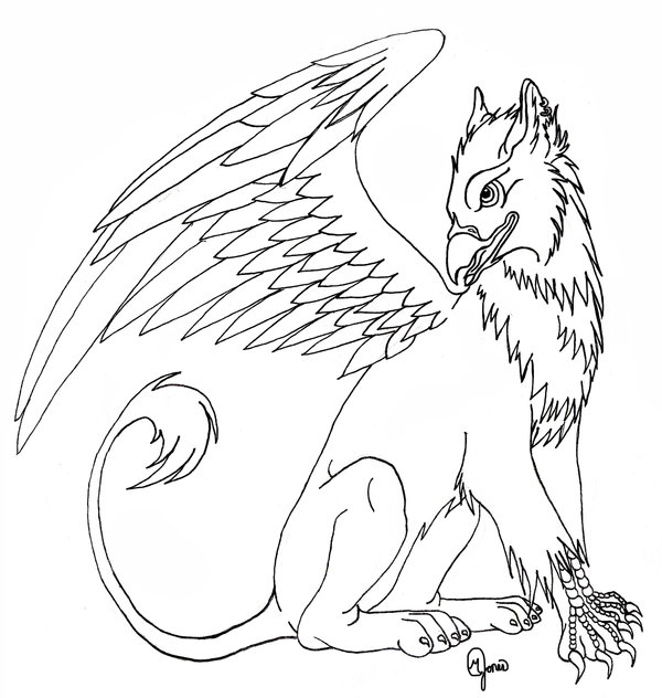 The best free Griffon drawing images. Download from 60 free drawings of ...