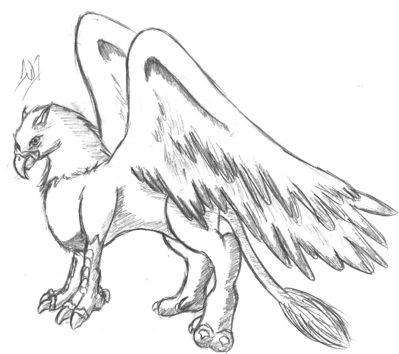 The best free Griffon drawing images. Download from 60 free drawings of ...