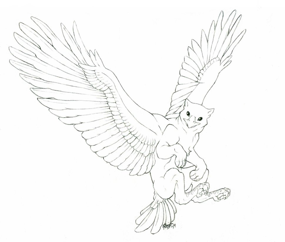 Griffon Drawing at GetDrawings | Free download