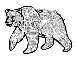 300x236 Grizzly Bear