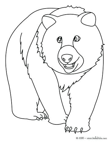 364x470 Grizzly Bear Coloring Pages As Well As Animals For Grizzly Bear