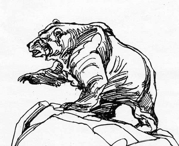 600x488 Grizzly Bear Line Art Stl
