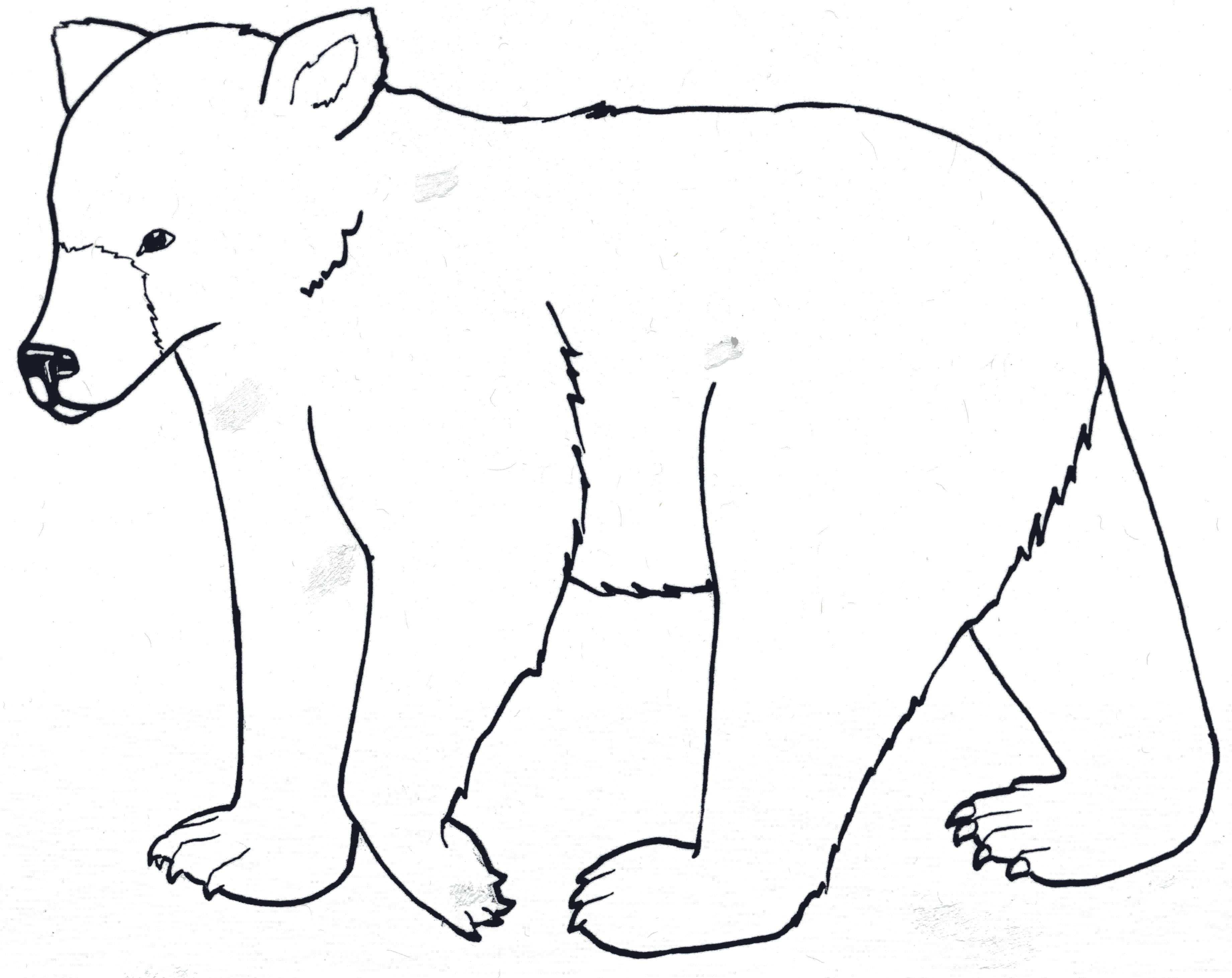 3682x2923 Simple Drawing Of A Bear