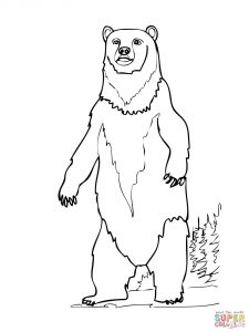 225x300 Funny Brown Bear Cub Coloring Pages