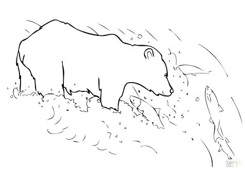 476x333 Grizzly Bear Coloring Pages Bears Coloring Pages Free Printable