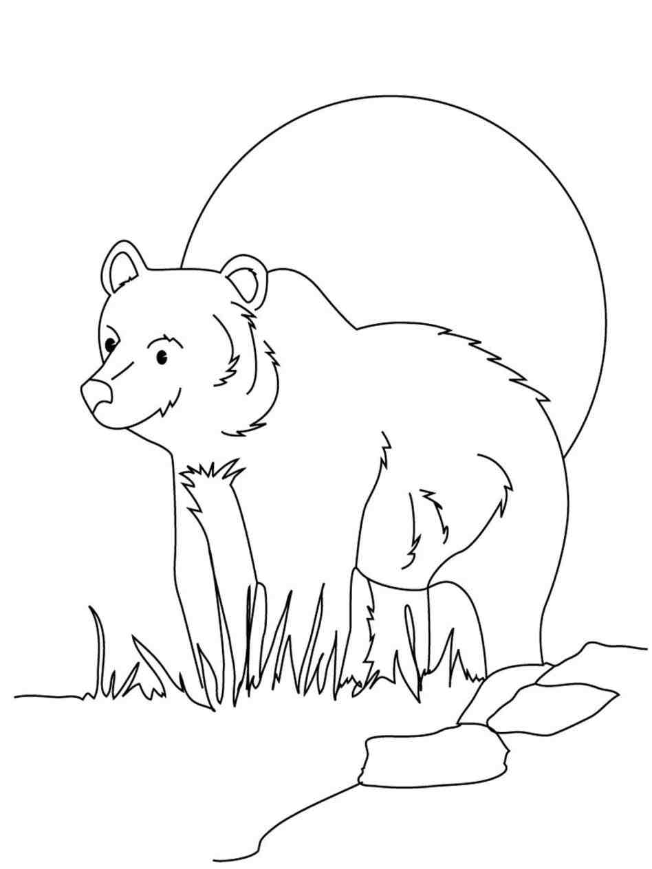 948x1264 Grizzly Bear Coloring Pages How To Draw A Grizzly Bear Step By