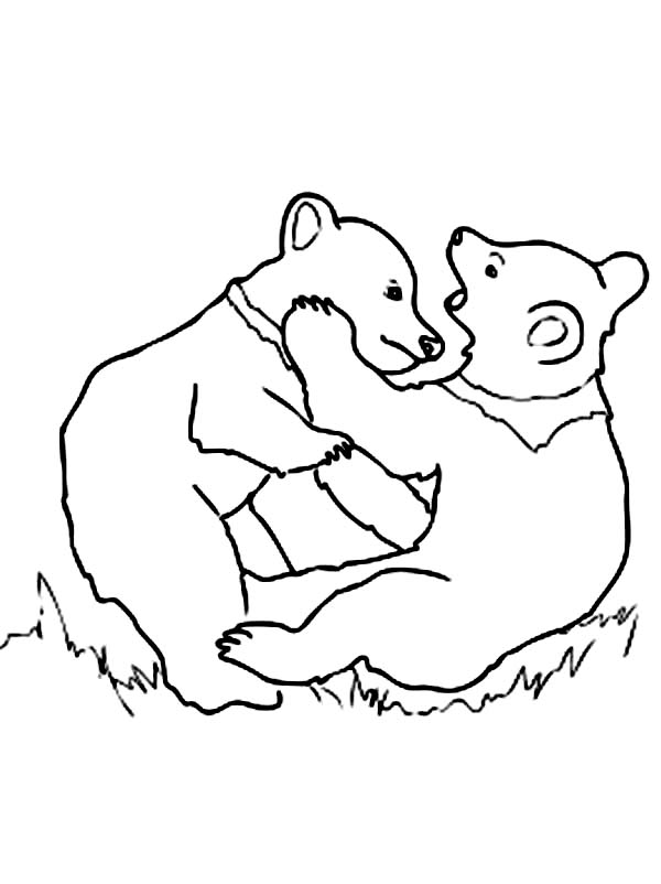 600x802 Grizzly Bear Cubs Playing Coloring Page