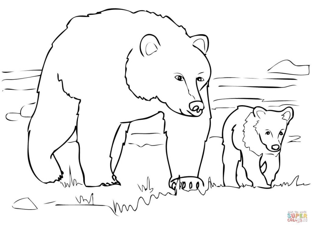 1024x743 Grizzly Bear Family Coloring Page Free Download